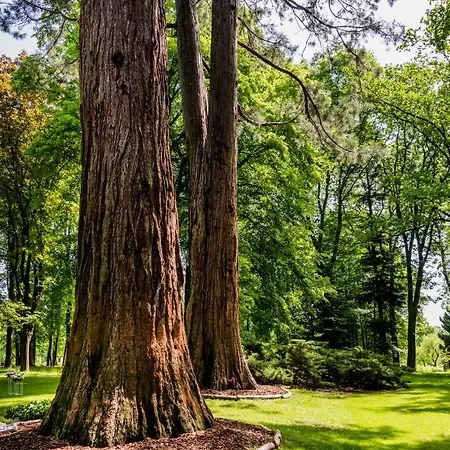 Zámek - Hotel&resort