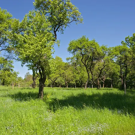 Zámek - Hotel&resort Hotel Ratmerice