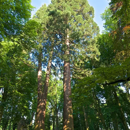 Zámek - Hotel&resort