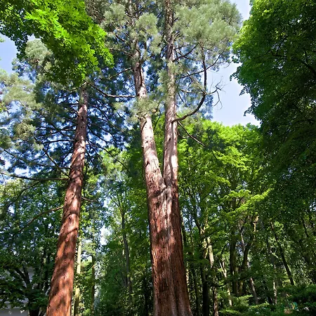 Zámek - Hotel&resort 4*