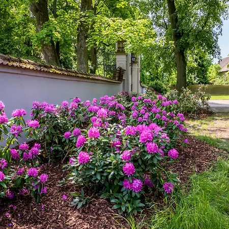 Hotel Zamek - & 4*