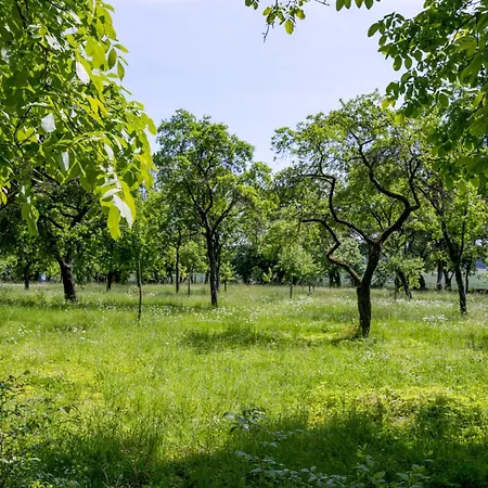 Zamek & Отель
